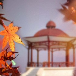 Les Fêtes d'Automne